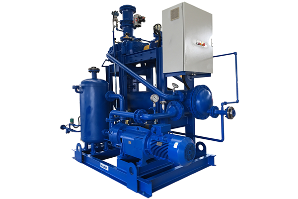 Booster Hybrid Vacuum Systems 850 to 33,980 m3/h (500 to 20,000 CFM)								